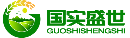 国实盛世